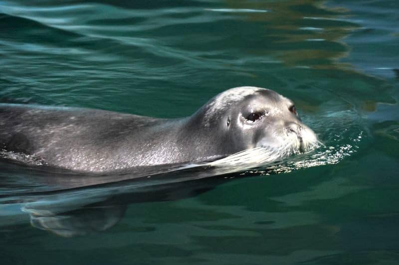 reisroute Noord-Noorwegen