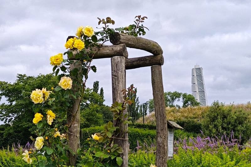 Dagtrip Malmö vanuit Kopenhagen
